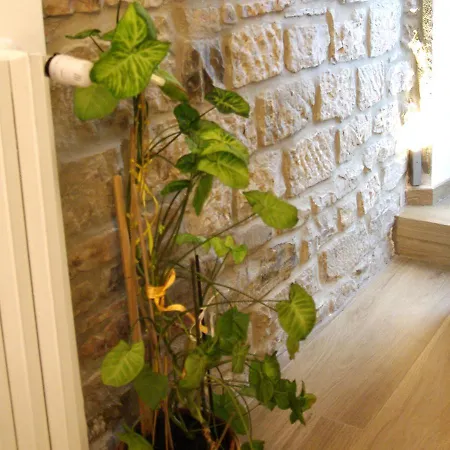 Il Casale Del Borgo 3* Cancellara