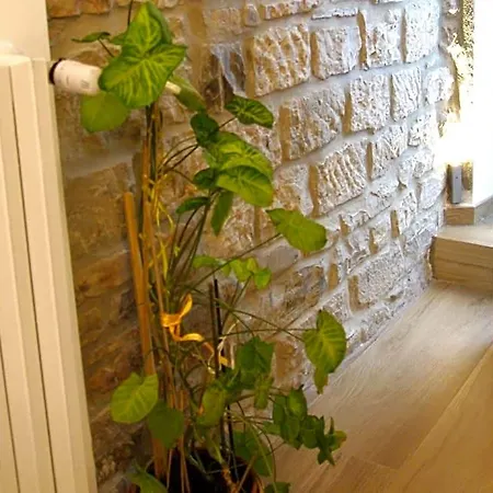 Il Casale Del Borgo 3* Cancellara